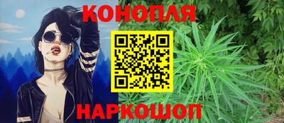 прущие грибы Новокубанск