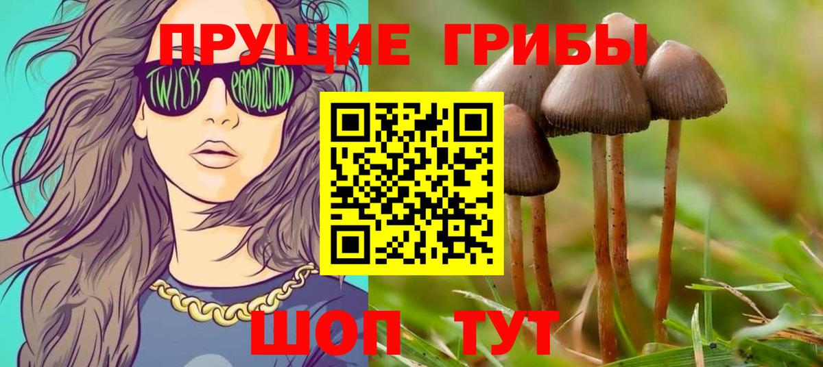 Галлюциногенные грибы мицелий  Вход с VPN  Тавда 